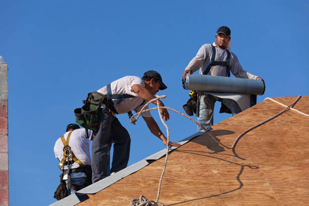 Best Metal Roofing Contractor  in Dyersville, IA