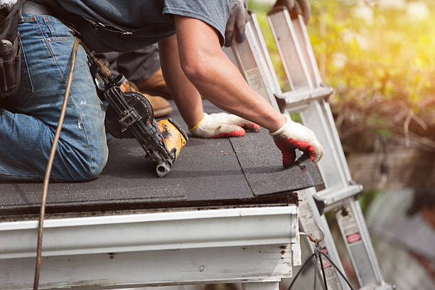 Best Flat Roof Repair Services  in Dyersville, IA